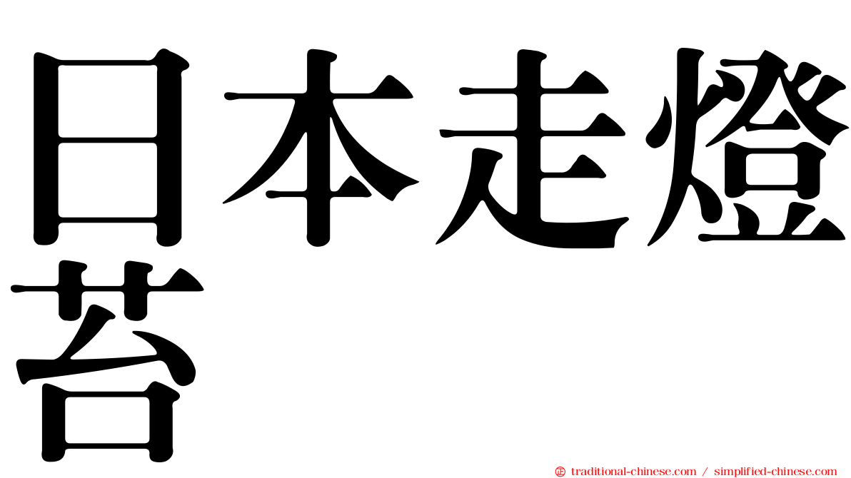 日本走燈苔