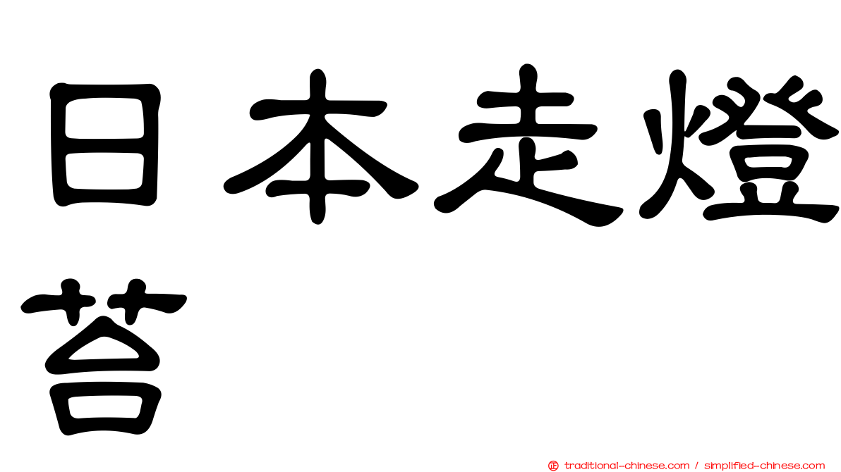 日本走燈苔