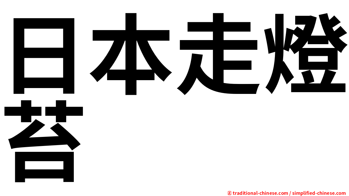 日本走燈苔