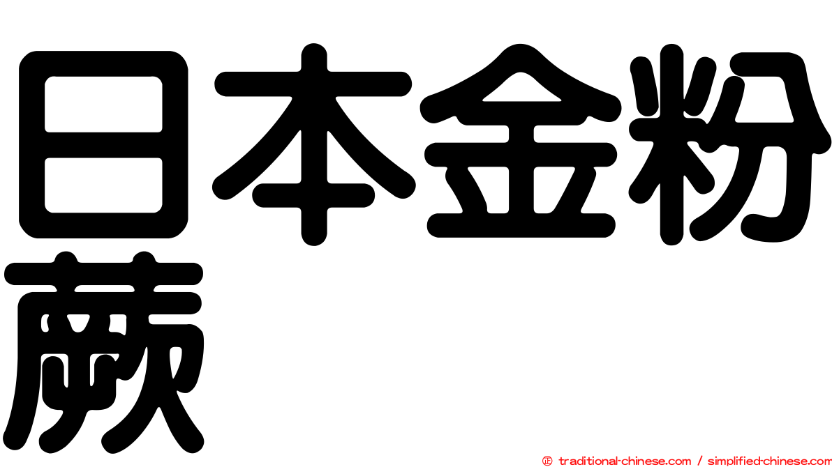 日本金粉蕨