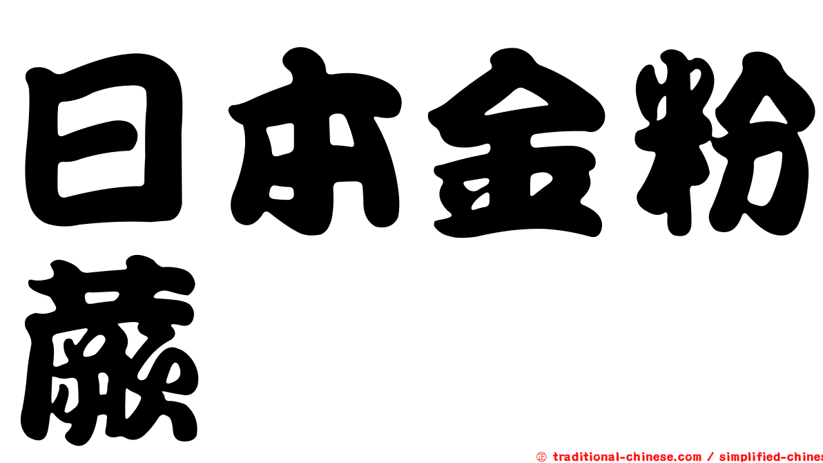 日本金粉蕨