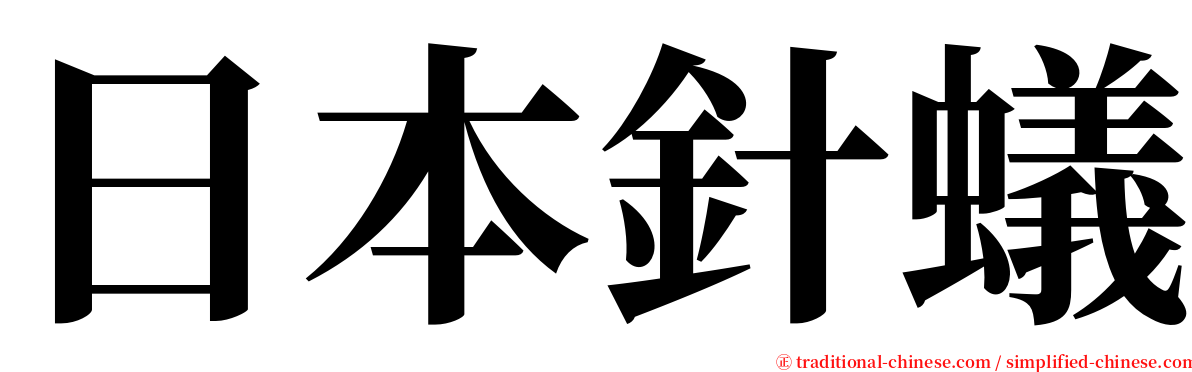 日本針蟻 serif font