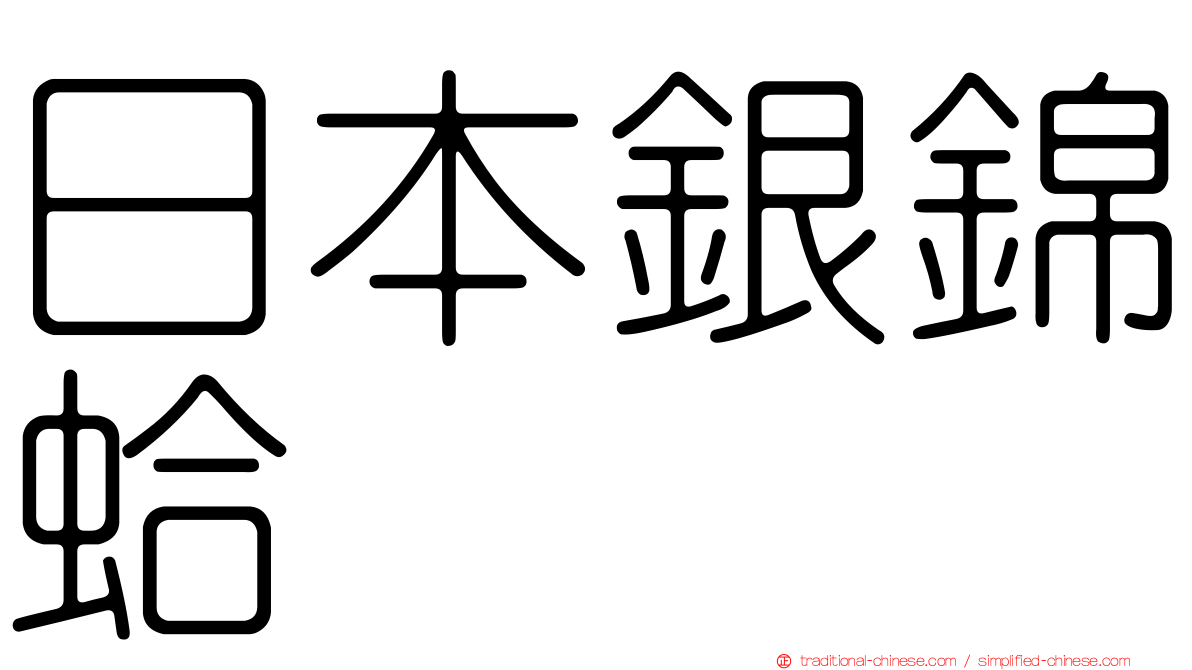 日本銀錦蛤