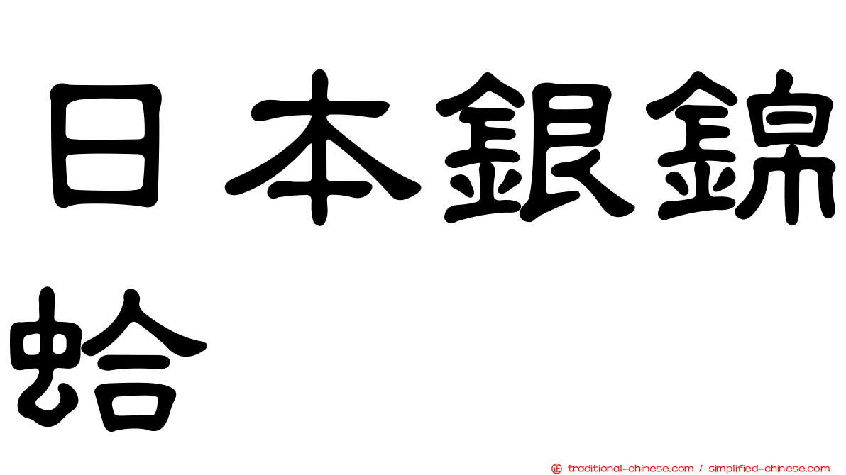 日本銀錦蛤