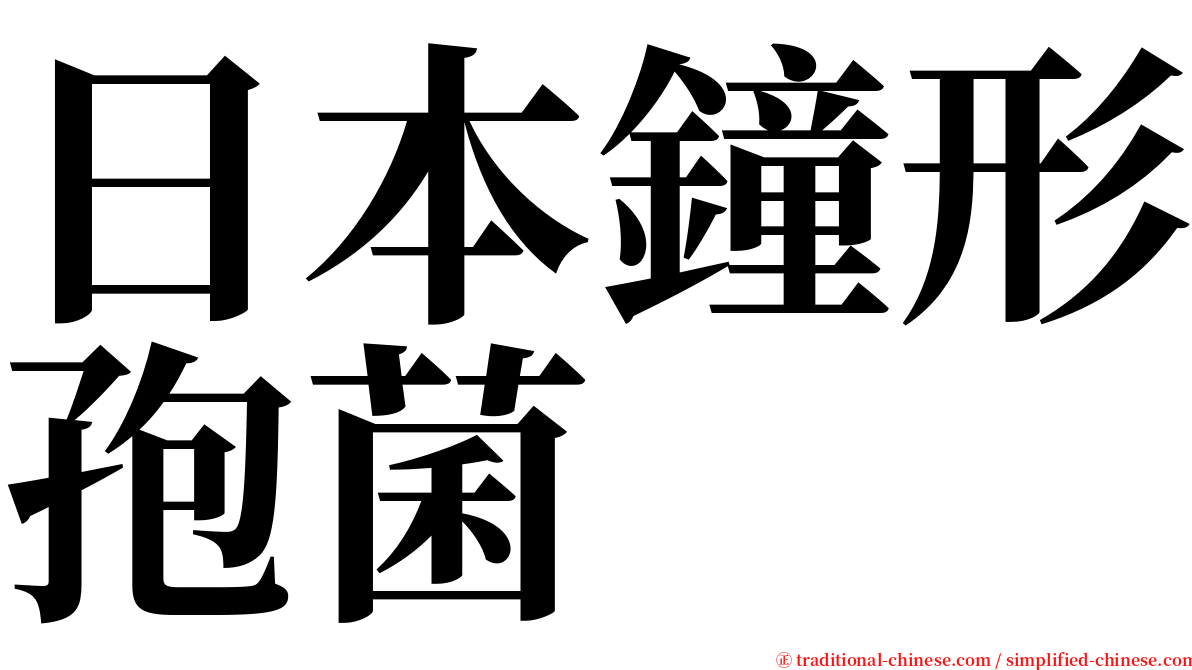 日本鐘形孢菌 serif font
