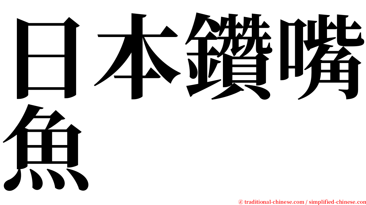 日本鑽嘴魚 serif font