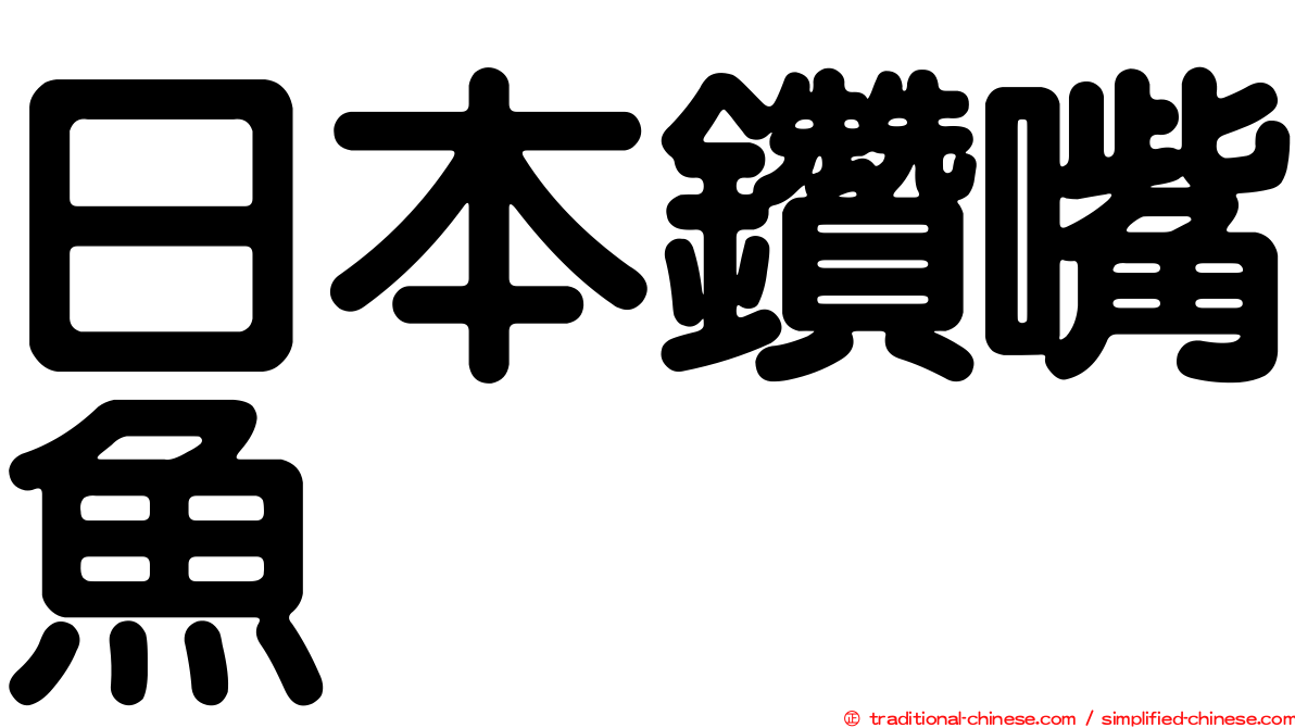 日本鑽嘴魚