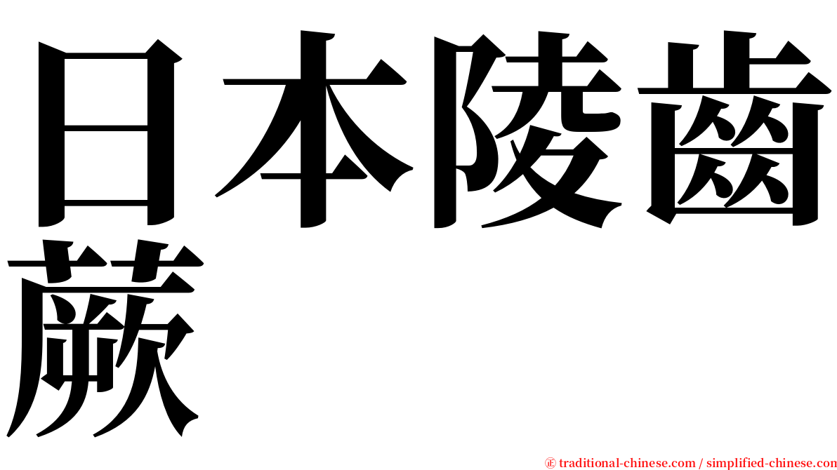 日本陵齒蕨 serif font