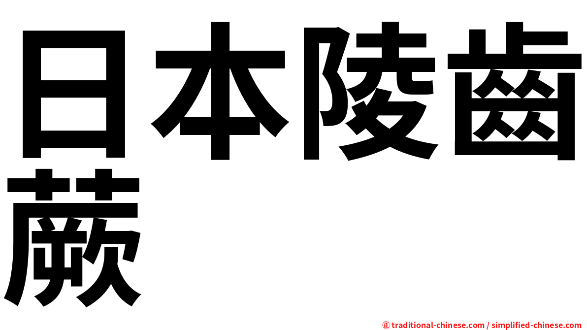 日本陵齒蕨