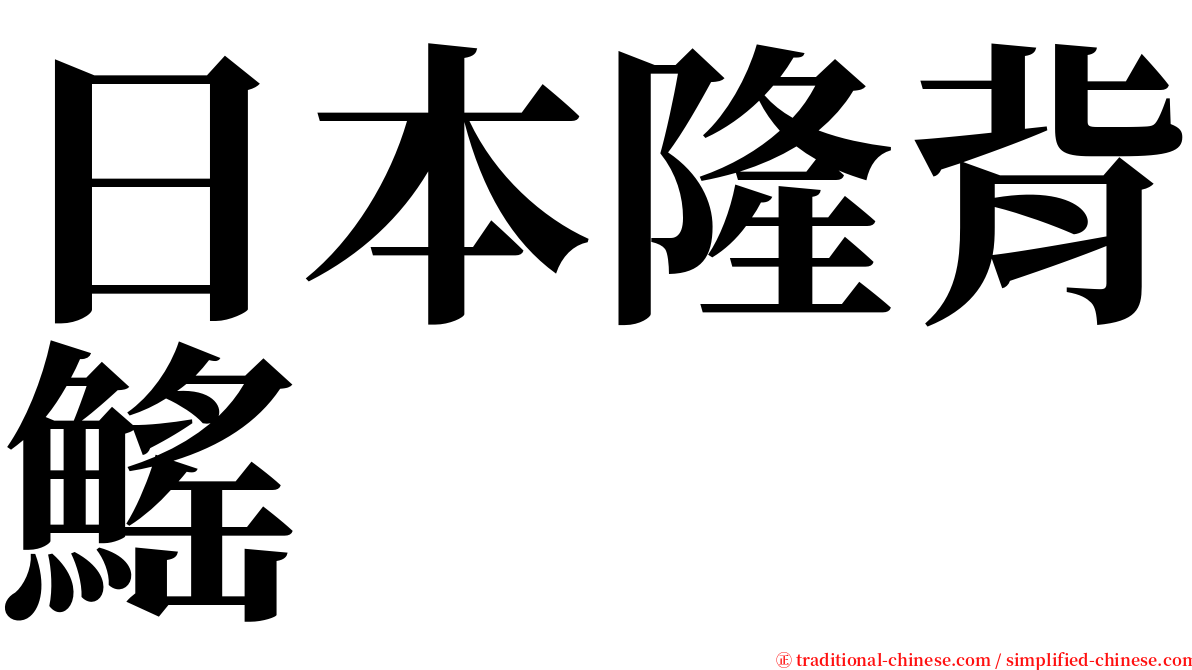 日本隆背鰩 serif font