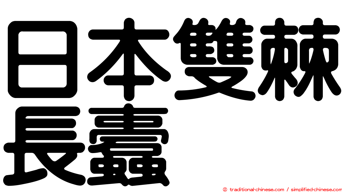 日本雙棘長蠹