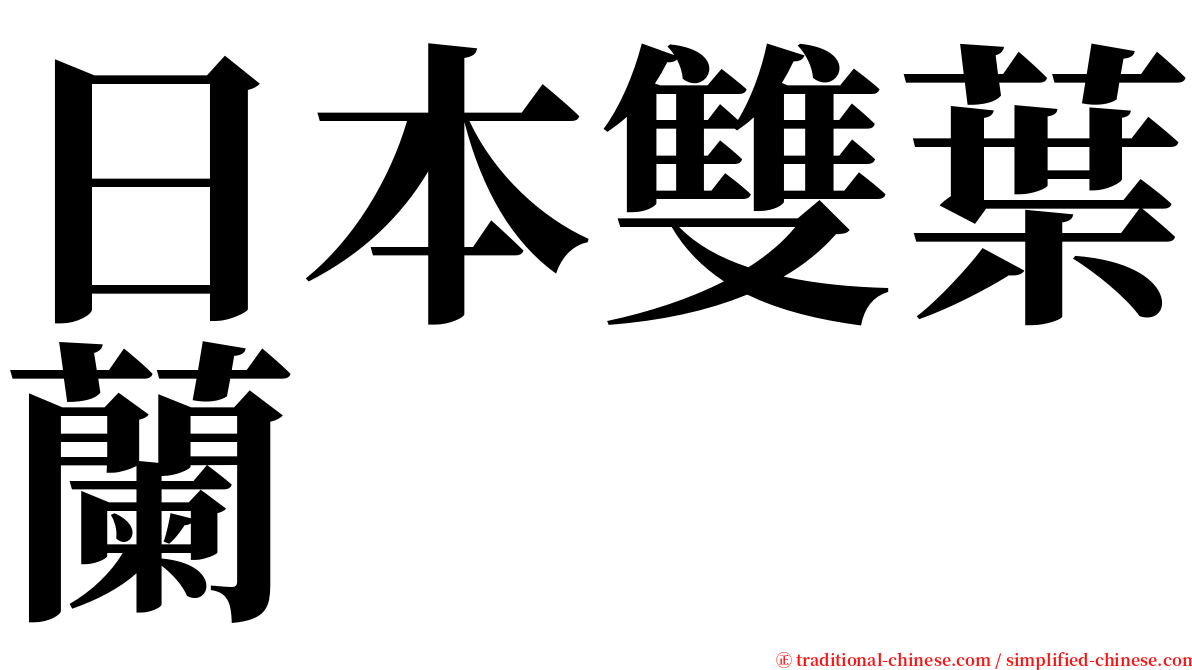 日本雙葉蘭 serif font