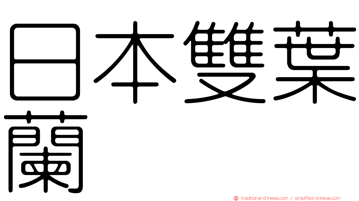 日本雙葉蘭
