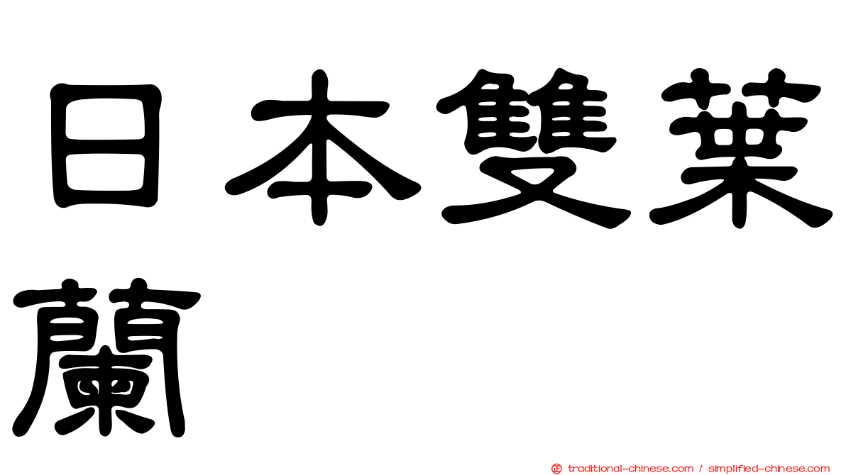 日本雙葉蘭