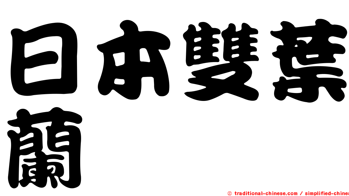 日本雙葉蘭
