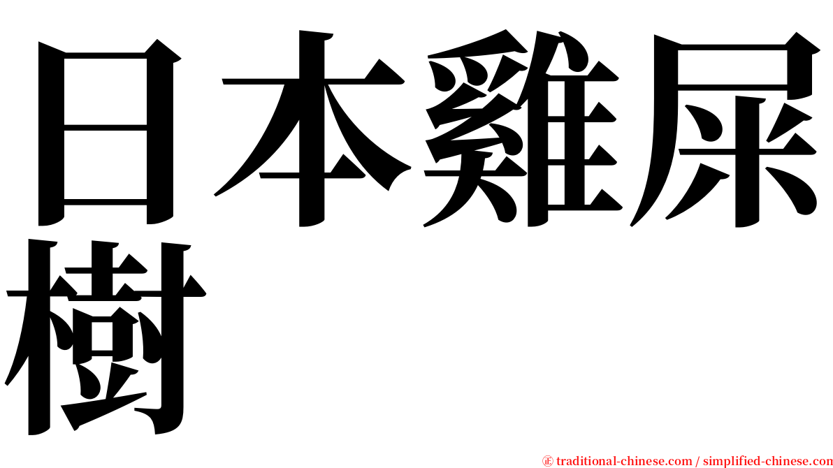 日本雞屎樹 serif font