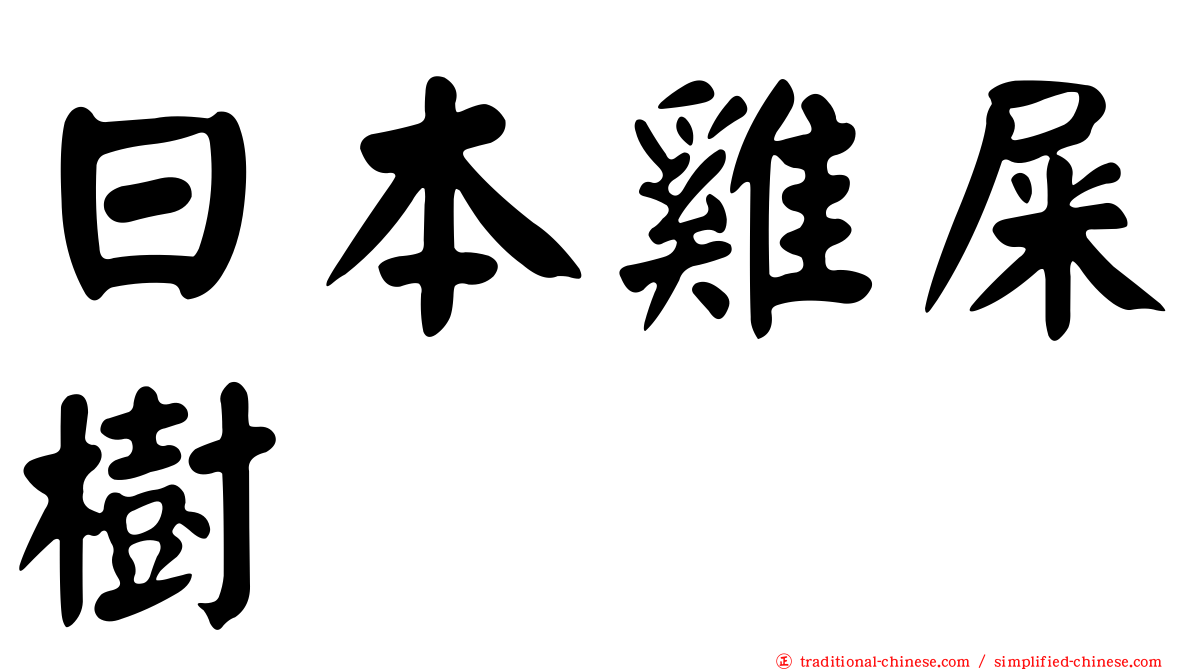 日本雞屎樹