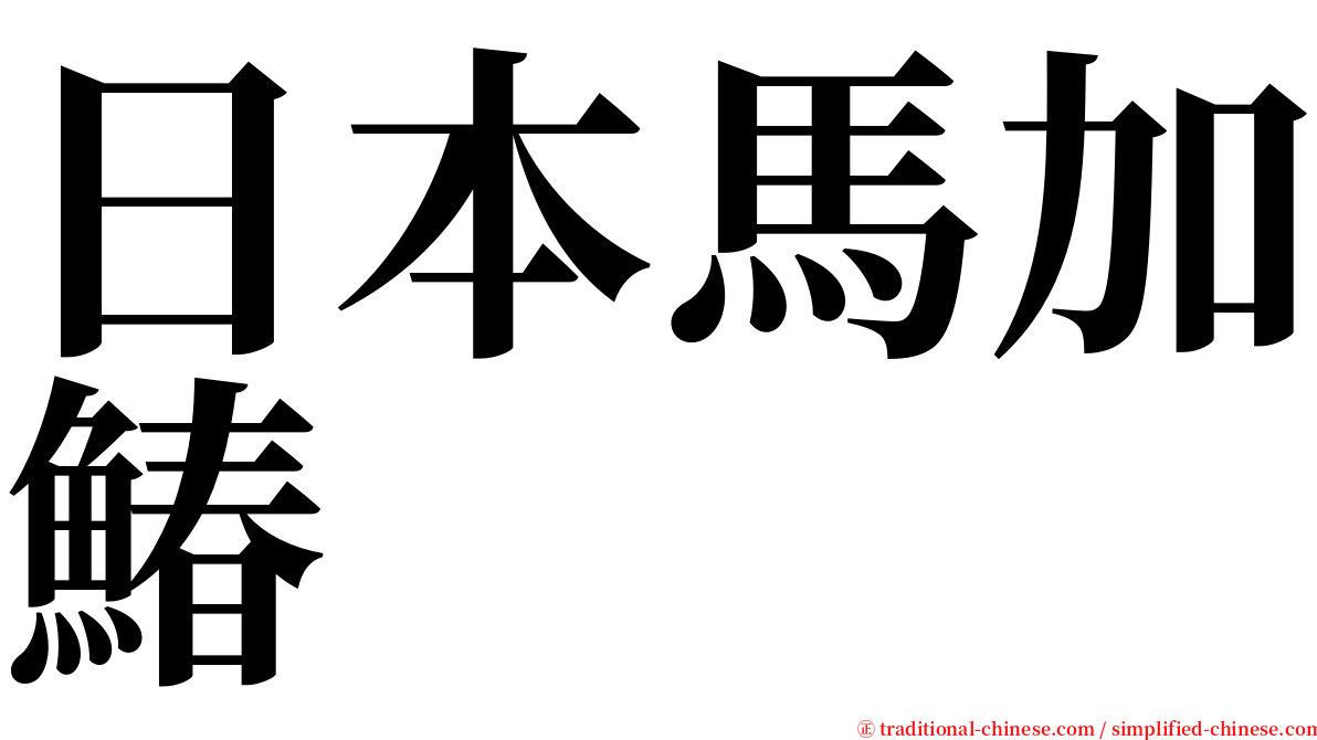 日本馬加鰆 serif font