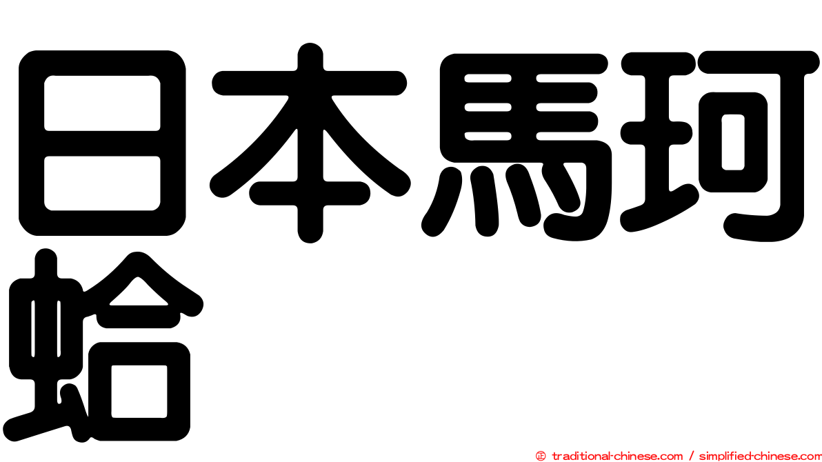 日本馬珂蛤