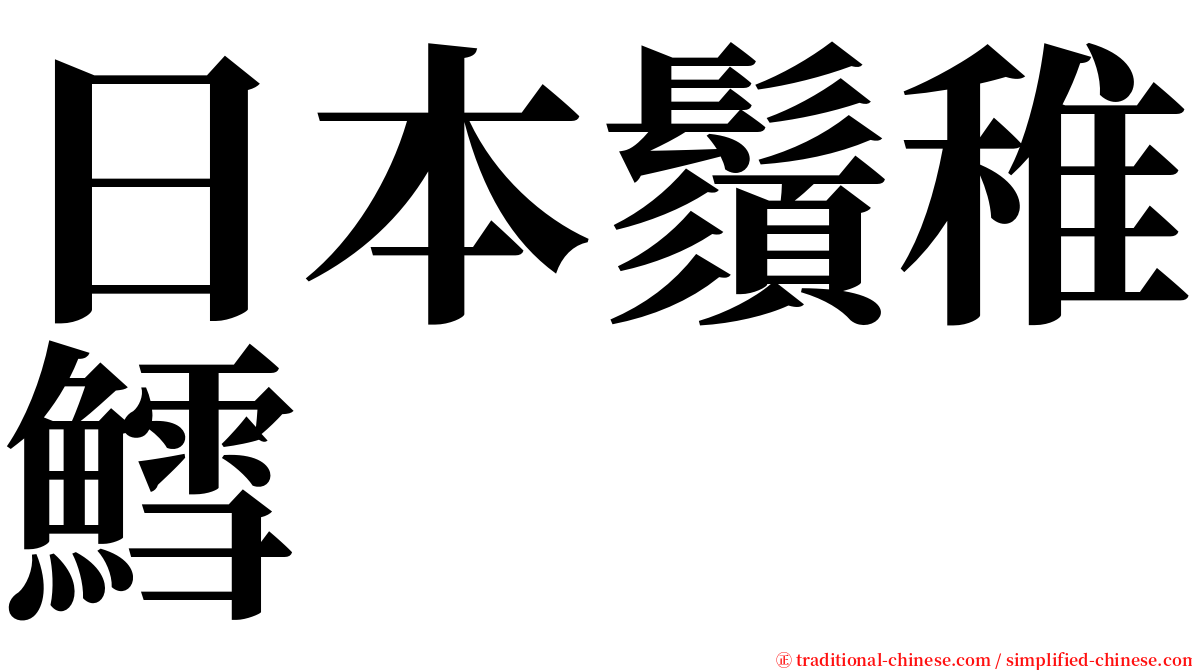 日本鬚稚鱈 serif font