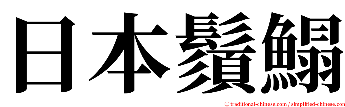 日本鬚鰨 serif font