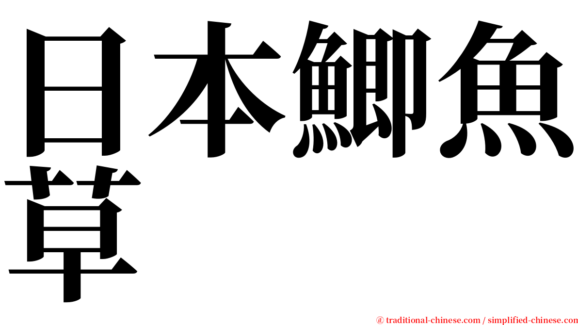 日本鯽魚草 serif font