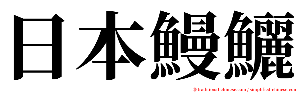 日本鰻鱺 serif font