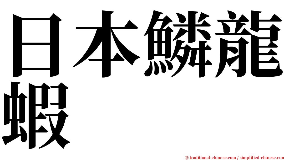 日本鱗龍蝦 serif font