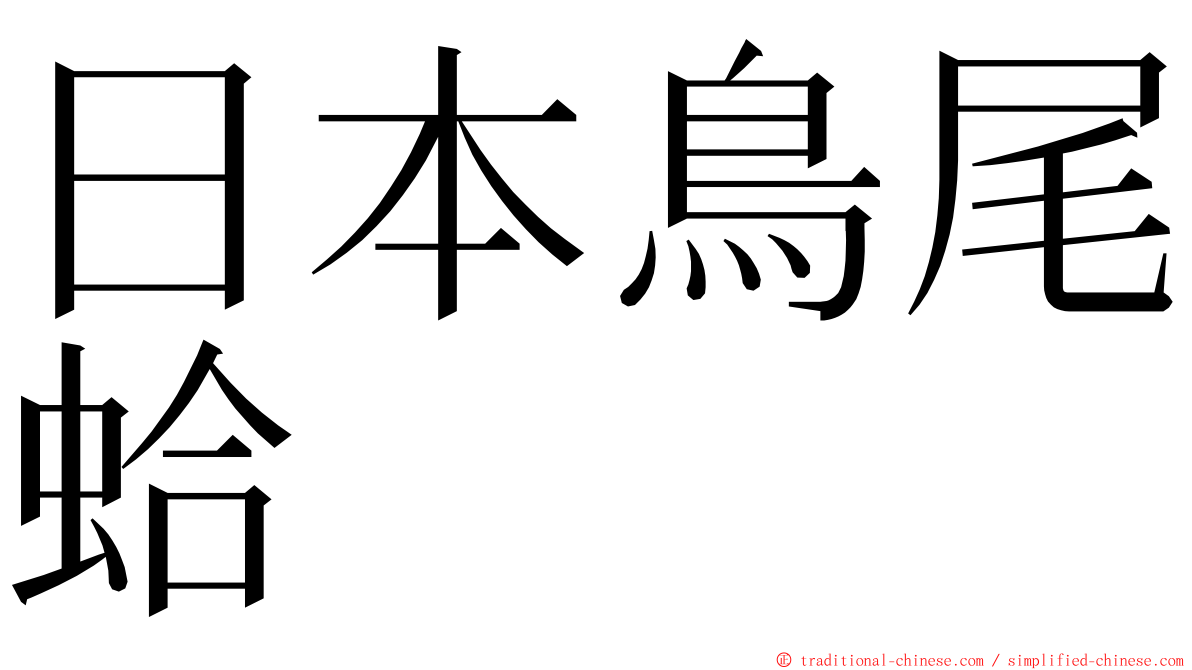 日本鳥尾蛤 ming font