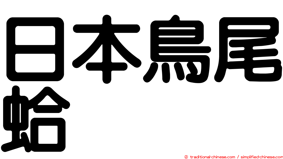 日本鳥尾蛤