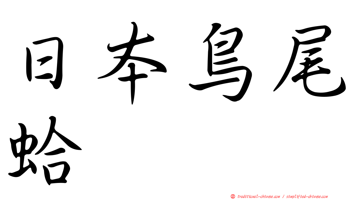 日本鳥尾蛤