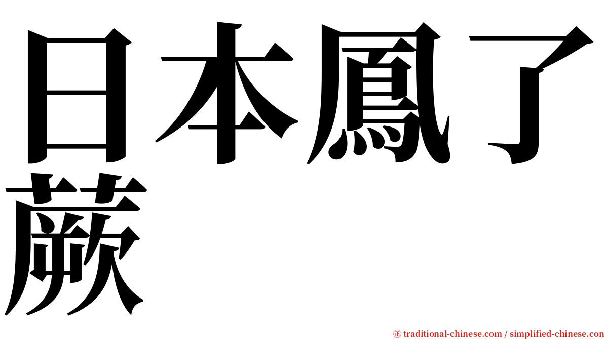 日本鳳了蕨 serif font