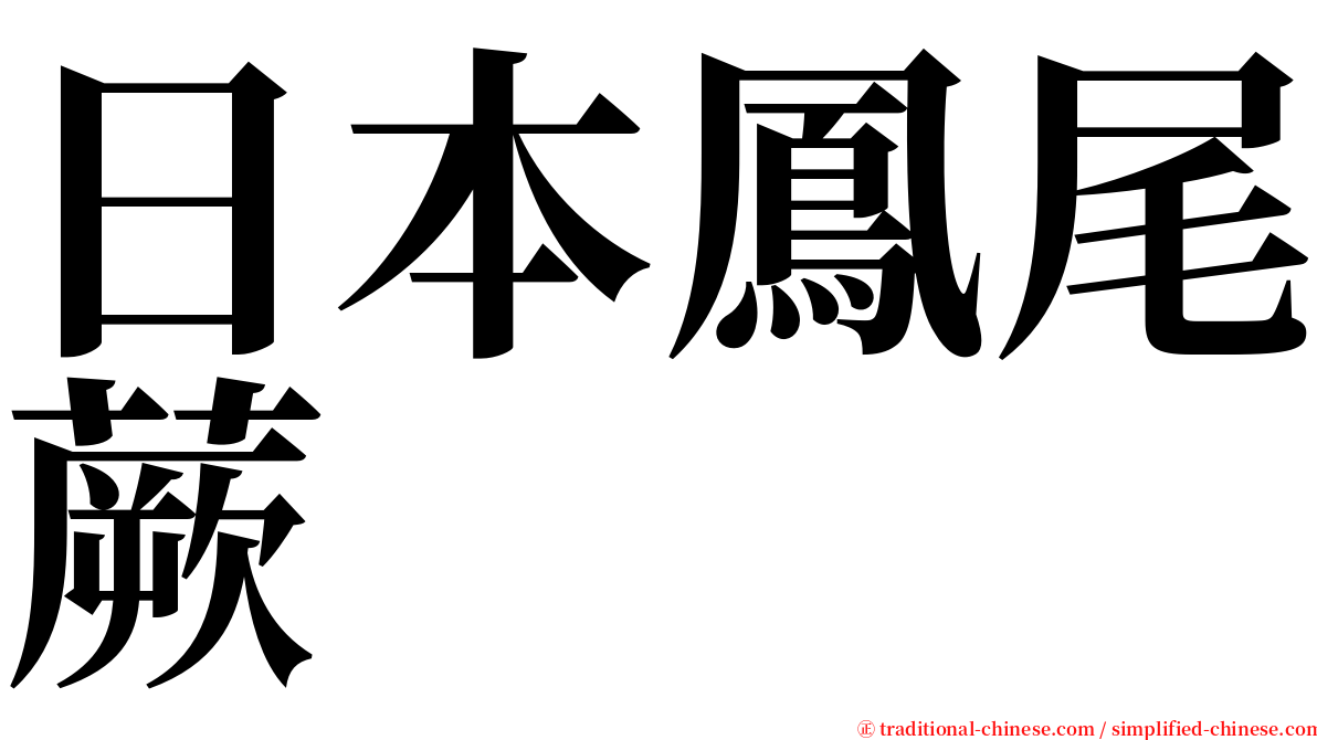 日本鳳尾蕨 serif font