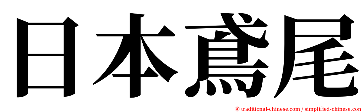 日本鳶尾 serif font