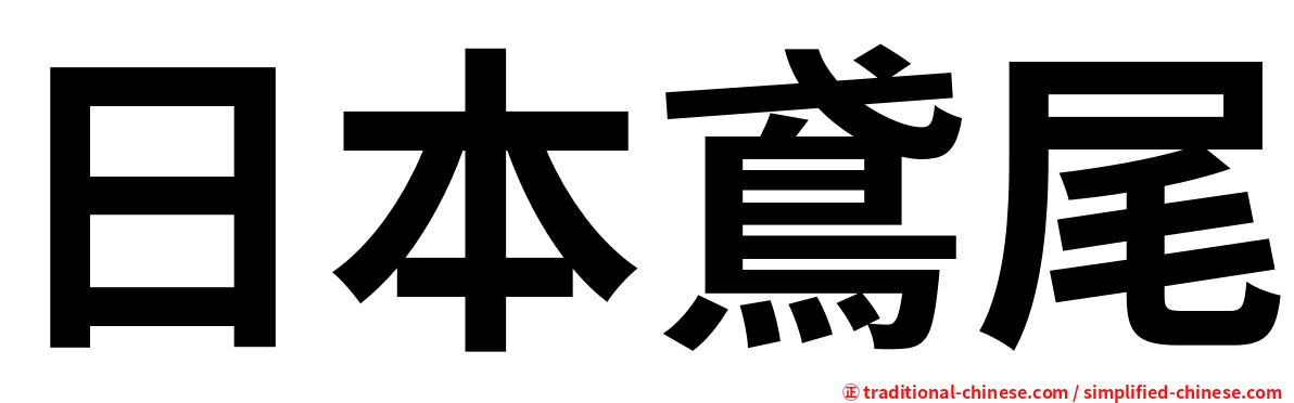 日本鳶尾