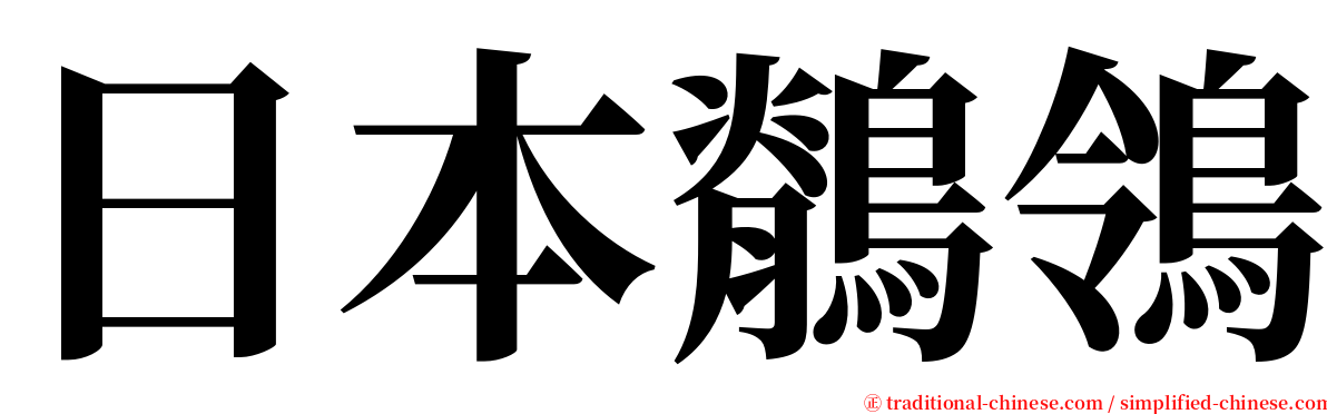 日本鶺鴒 serif font