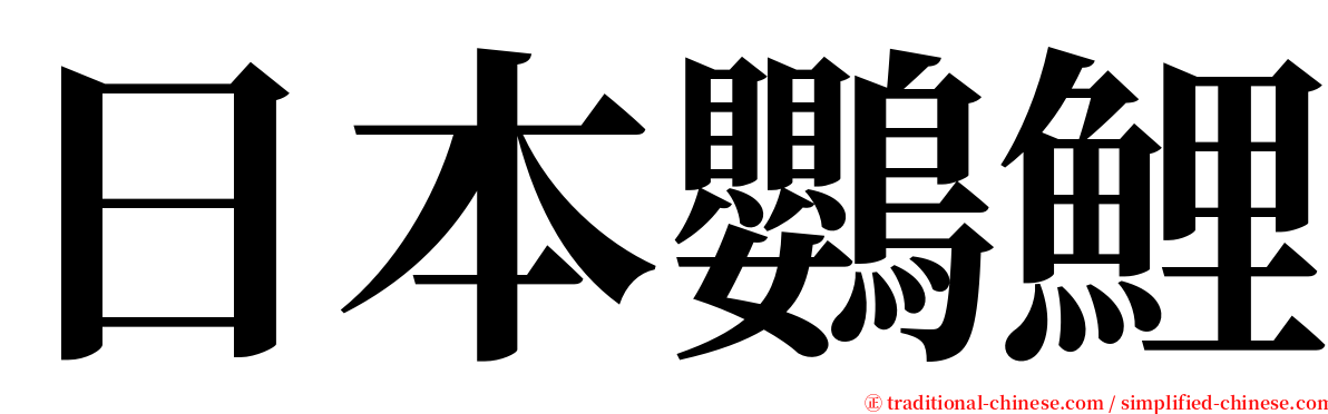 日本鸚鯉 serif font
