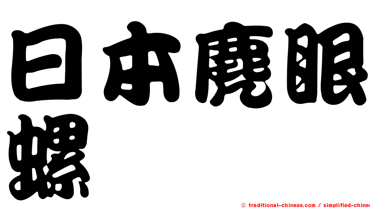 日本麂眼螺