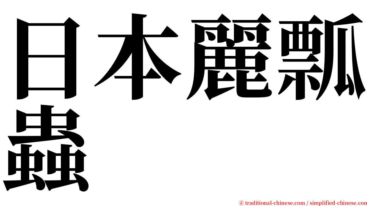 日本麗瓢蟲 serif font