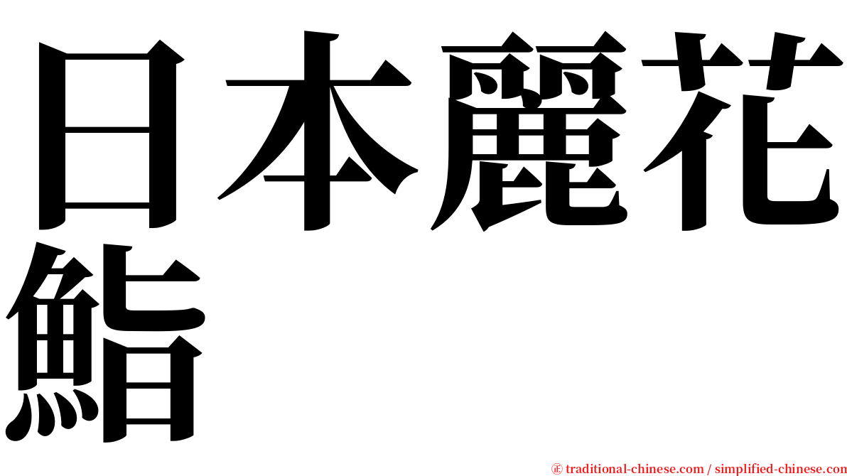 日本麗花鮨 serif font