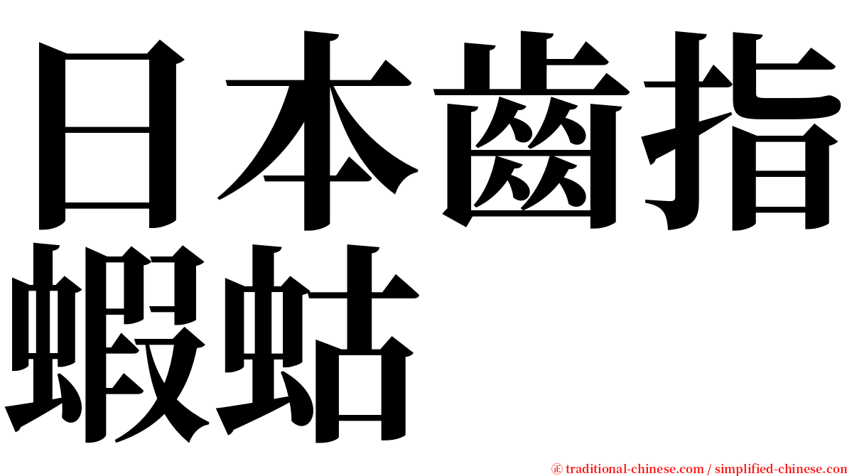 日本齒指蝦蛄 serif font