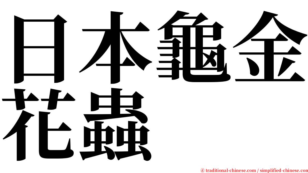 日本龜金花蟲 serif font