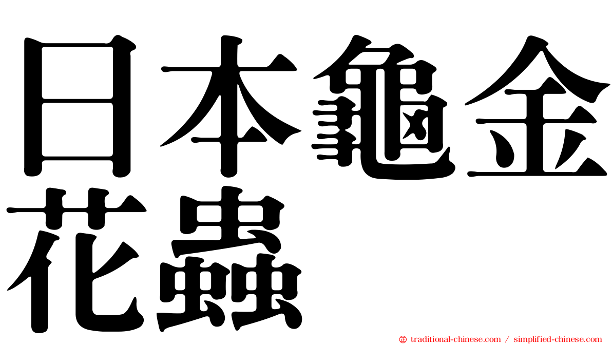 日本龜金花蟲