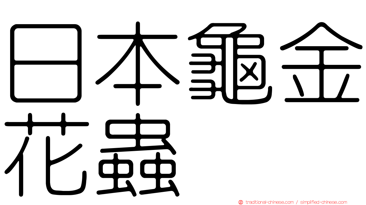 日本龜金花蟲