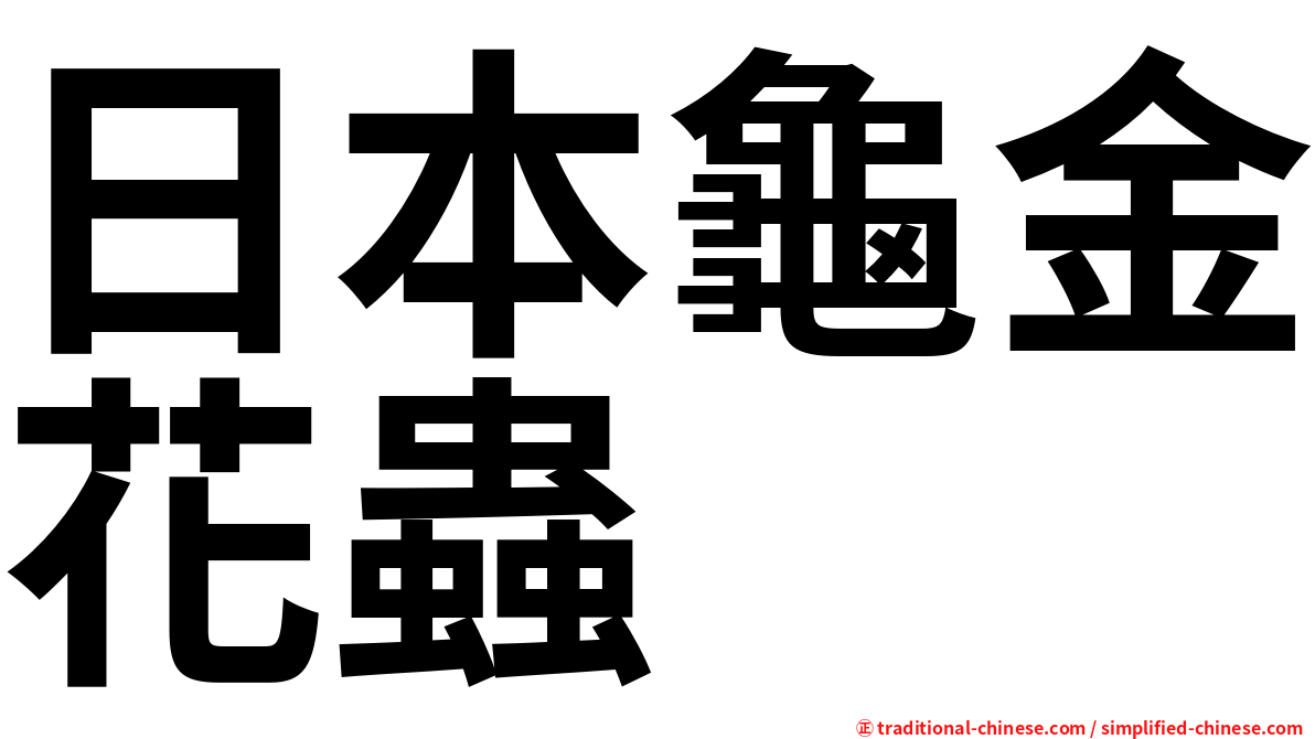 日本龜金花蟲