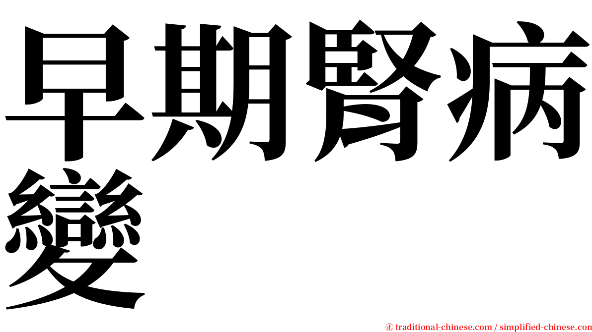 早期腎病變 serif font