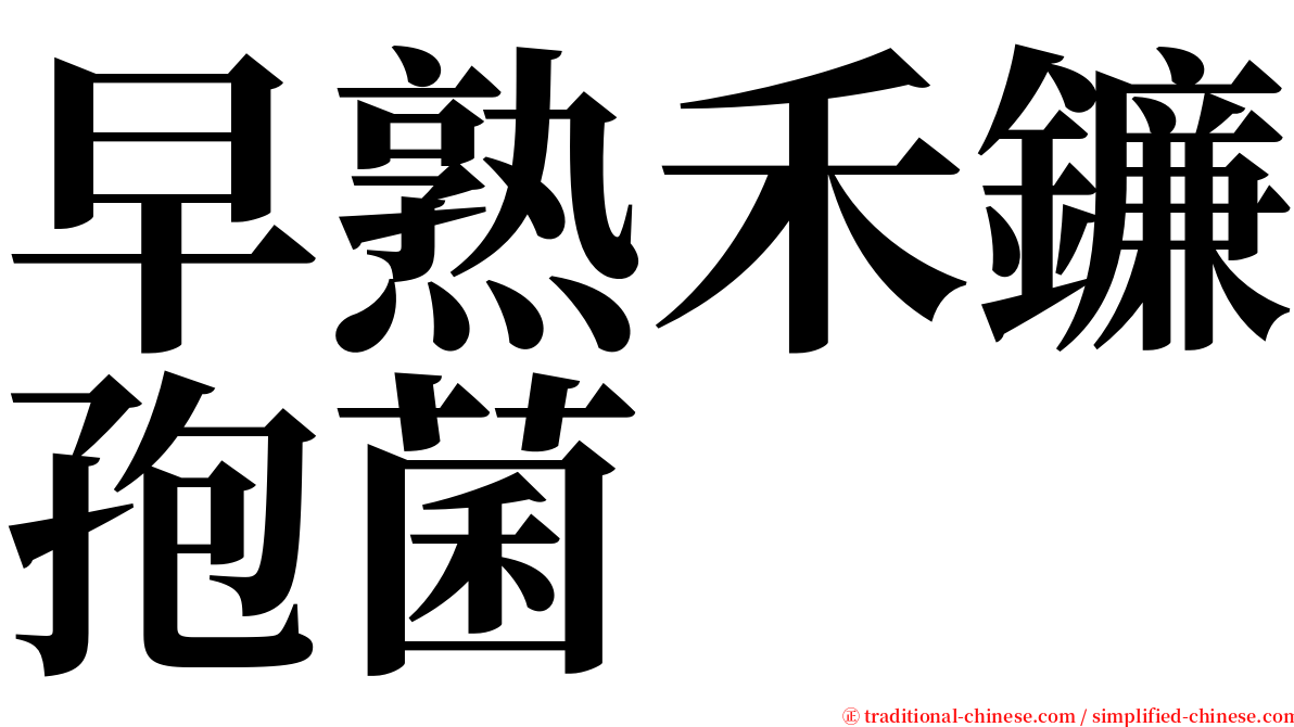 早熟禾鐮孢菌 serif font