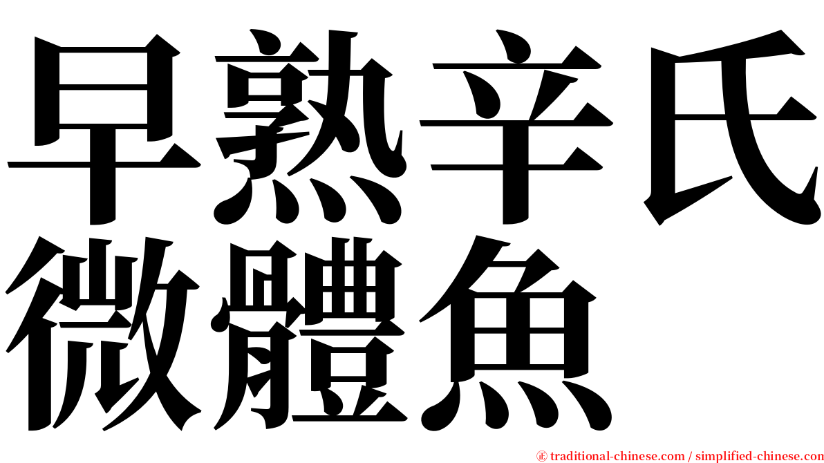 早熟辛氏微體魚 serif font