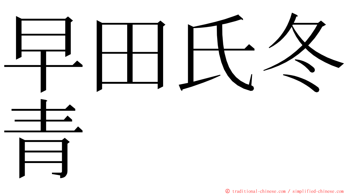 早田氏冬青 ming font