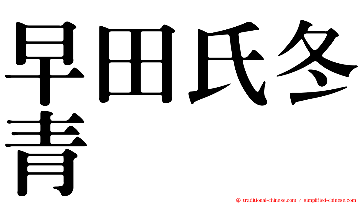 早田氏冬青